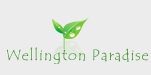 mjinfrastructure -  Wellington Paradise